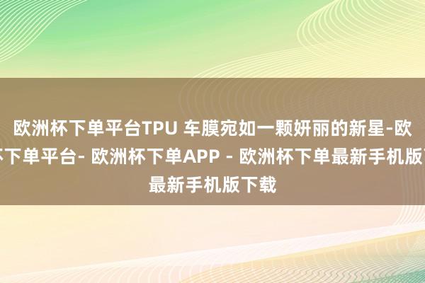 欧洲杯下单平台TPU 车膜宛如一颗妍丽的新星-欧洲杯下单平台- 欧洲杯下单APP - 欧洲杯下单最新手机版下载