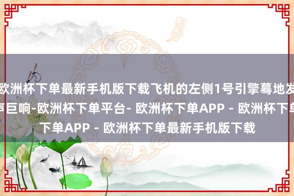 欧洲杯下单最新手机版下载飞机的左侧1号引擎蓦地发出“POM”的一声巨响-欧洲杯下单平台- 欧洲杯下单APP - 欧洲杯下单最新手机版下载
