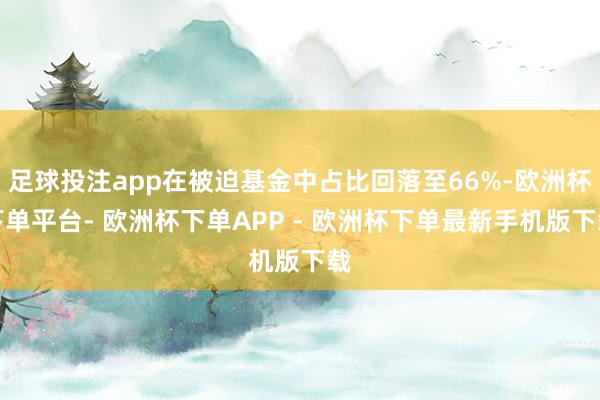 足球投注app在被迫基金中占比回落至66%-欧洲杯下单平台- 欧洲杯下单APP - 欧洲杯下单最新手机版下载