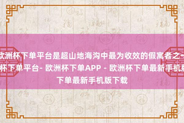 欧洲杯下单平台是超山地海沟中最为收效的假寓者之一-欧洲杯下单平台- 欧洲杯下单APP - 欧洲杯下单最新手机版下载