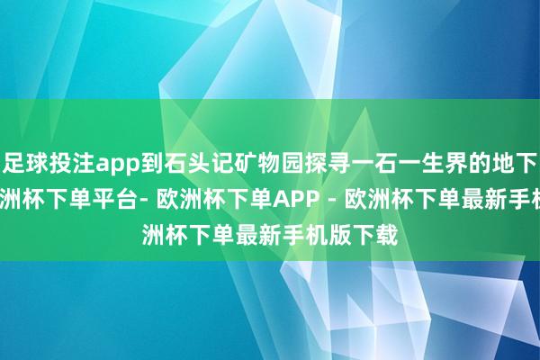 足球投注app到石头记矿物园探寻一石一生界的地下矿藏-欧洲杯下单平台- 欧洲杯下单APP - 欧洲杯下单最新手机版下载