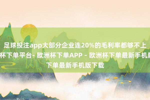 足球投注app大部分企业连20%的毛利率都够不上-欧洲杯下单平台- 欧洲杯下单APP - 欧洲杯下单最新手机版下载