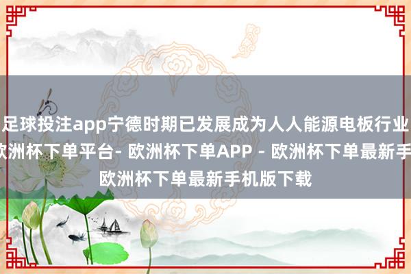 足球投注app宁德时期已发展成为人人能源电板行业的龙头-欧洲杯下单平台- 欧洲杯下单APP - 欧洲杯下单最新手机版下载