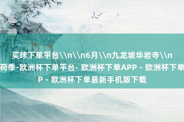 买球下单平台\n\n6月\n九龙坡华岩寺\n九龙坡华岩寺赏荷季-欧洲杯下单平台- 欧洲杯下单APP - 欧洲杯下单最新手机版下载