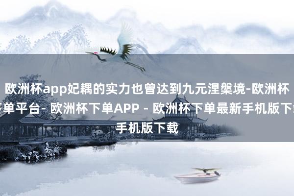 欧洲杯app妃耦的实力也曾达到九元涅槃境-欧洲杯下单平台- 欧洲杯下单APP - 欧洲杯下单最新手机版下载