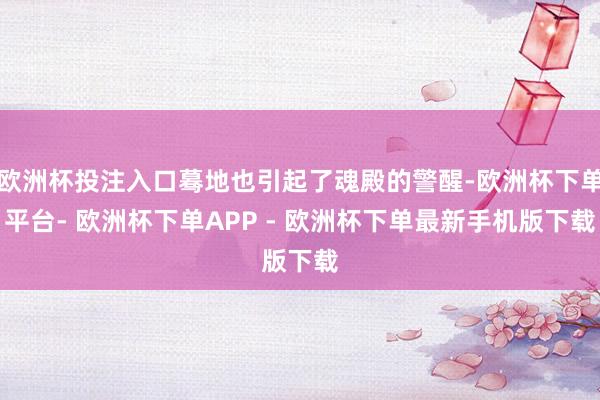 欧洲杯投注入口蓦地也引起了魂殿的警醒-欧洲杯下单平台- 欧洲杯下单APP - 欧洲杯下单最新手机版下载