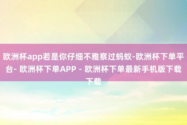 欧洲杯app若是你仔细不雅察过蚂蚁-欧洲杯下单平台- 欧洲杯下单APP - 欧洲杯下单最新手机版下载