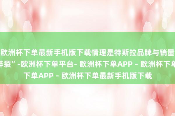 欧洲杯下单最新手机版下载情理是特斯拉品牌与销量正遭遇众性情“碎裂”-欧洲杯下单平台- 欧洲杯下单APP - 欧洲杯下单最新手机版下载