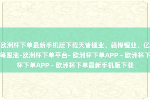 欧洲杯下单最新手机版下载天皆锂业、赣锋锂业、亿纬锂能、西藏矿业等跟涨-欧洲杯下单平台- 欧洲杯下单APP - 欧洲杯下单最新手机版下载