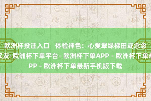 欧洲杯投注入口   体验神色:心爱翠绿梯田或念念尝试溜索的一又友-欧洲杯下单平台- 欧洲杯下单APP - 欧洲杯下单最新手机版下载
