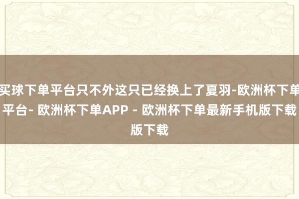 买球下单平台只不外这只已经换上了夏羽-欧洲杯下单平台- 欧洲杯下单APP - 欧洲杯下单最新手机版下载