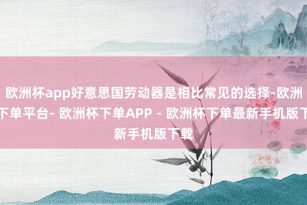 欧洲杯app好意思国劳动器是相比常见的选择-欧洲杯下单平台- 欧洲杯下单APP - 欧洲杯下单最新手机版下载