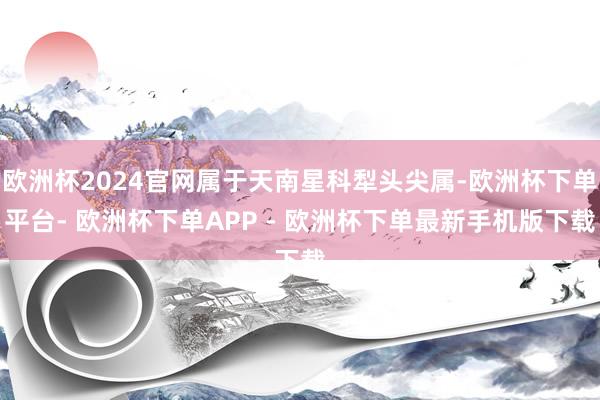欧洲杯2024官网属于天南星科犁头尖属-欧洲杯下单平台- 欧洲杯下单APP - 欧洲杯下单最新手机版下载