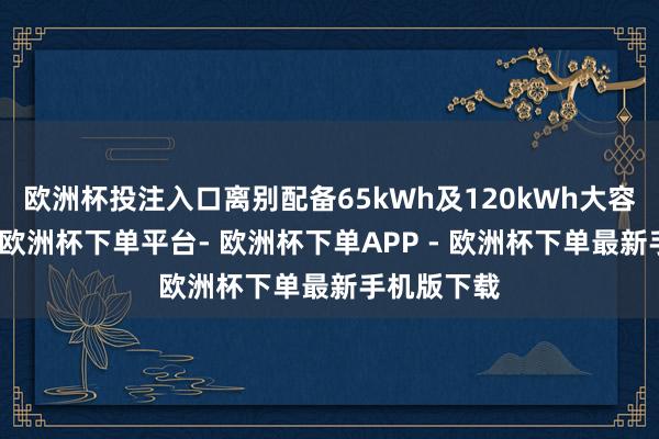 欧洲杯投注入口离别配备65kWh及120kWh大容量电板包-欧洲杯下单平台- 欧洲杯下单APP - 欧洲杯下单最新手机版下载