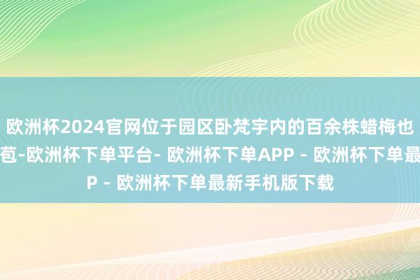 欧洲杯2024官网位于园区卧梵宇内的百余株蜡梅也将连接灵通花苞-欧洲杯下单平台- 欧洲杯下单APP - 欧洲杯下单最新手机版下载