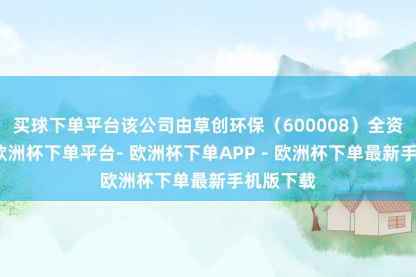买球下单平台该公司由草创环保（600008）全资合手股-欧洲杯下单平台- 欧洲杯下单APP - 欧洲杯下单最新手机版下载