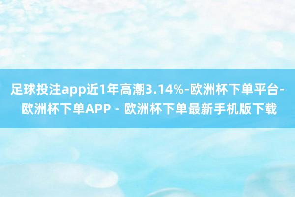 足球投注app近1年高潮3.14%-欧洲杯下单平台- 欧洲杯下单APP - 欧洲杯下单最新手机版下载