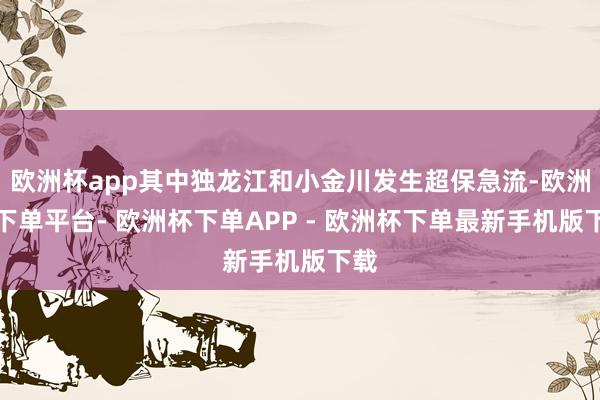 欧洲杯app其中独龙江和小金川发生超保急流-欧洲杯下单平台- 欧洲杯下单APP - 欧洲杯下单最新手机版下载