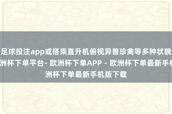 足球投注app或搭乘直升机俯视异兽珍禽等多种状貌游园-欧洲杯下单平台- 欧洲杯下单APP - 欧洲杯下单最新手机版下载
