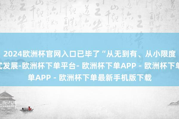 2024欧洲杯官网入口已毕了“从无到有、从小限度到大皆量”高出式发展-欧洲杯下单平台- 欧洲杯下单APP - 欧洲杯下单最新手机版下载